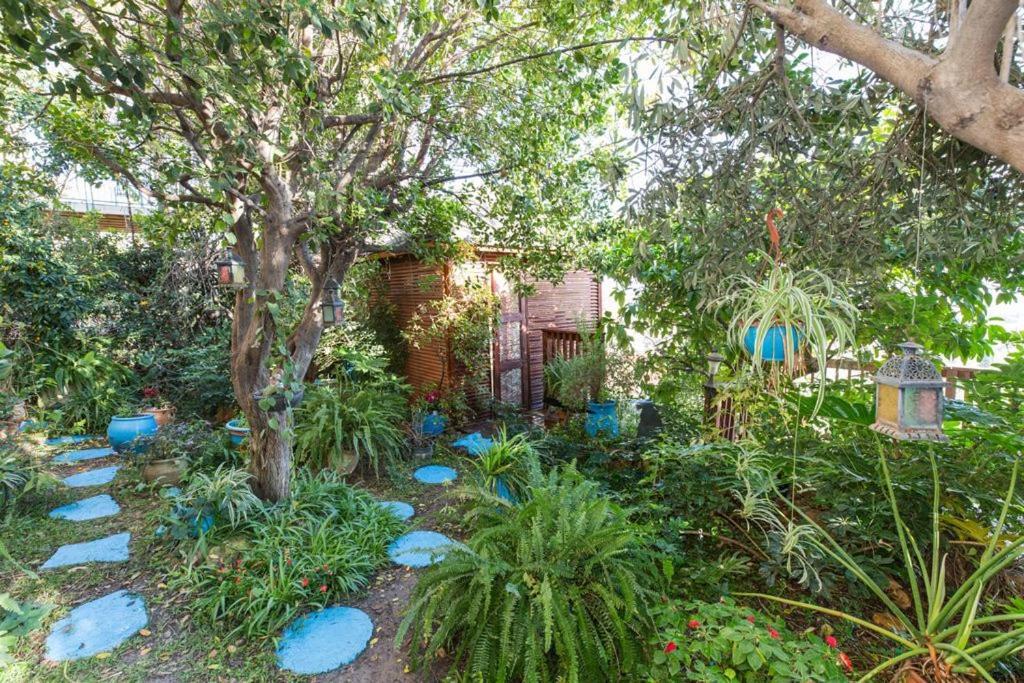 Havaya Ba Nof Lodge Rosh Pinna Exteriör bild